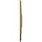Ekena Millwork Eris Ceiling Medallion (Fits Canopies up to 9 7/8"), 18"W x 18"H x 3 1/2"ID x 1 1/8"P, Pale Gold CM18ERPAS - alternate 2